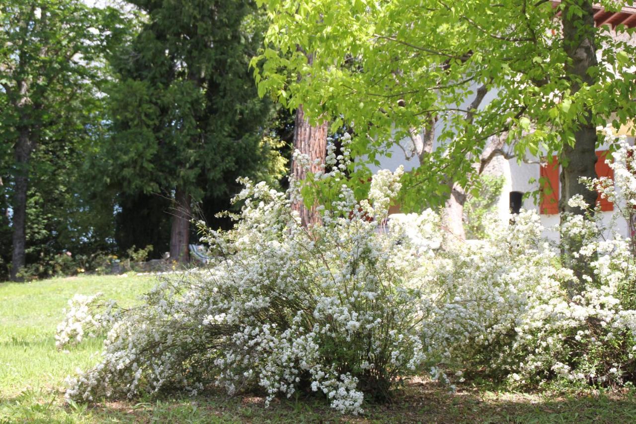 La Villa Del Nonno Montefelcino Exteriér fotografie