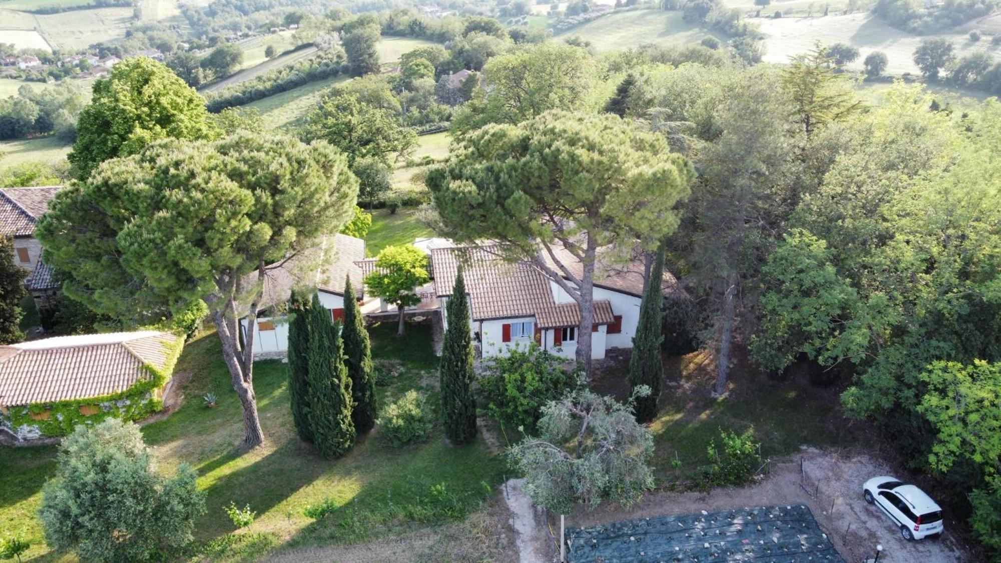La Villa Del Nonno Montefelcino Exteriér fotografie